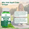 Chlorophyll Gummies