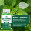 Chlorophyll Gummies