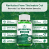Chlorophyll Gummies