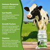 Bovine Colostrum Supplements
