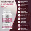 NAD+ Resveratrol