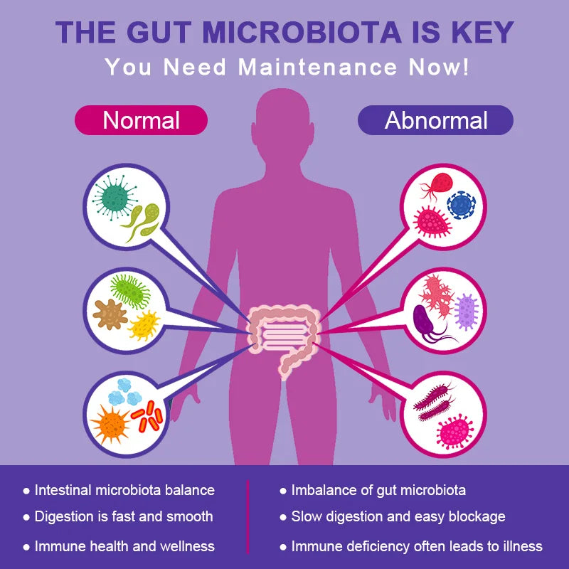 Probiotics Capsules