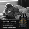 Himalaya Shilajit Capsules