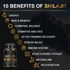 Himalaya Shilajit Capsules