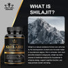 Himalaya Shilajit Capsules