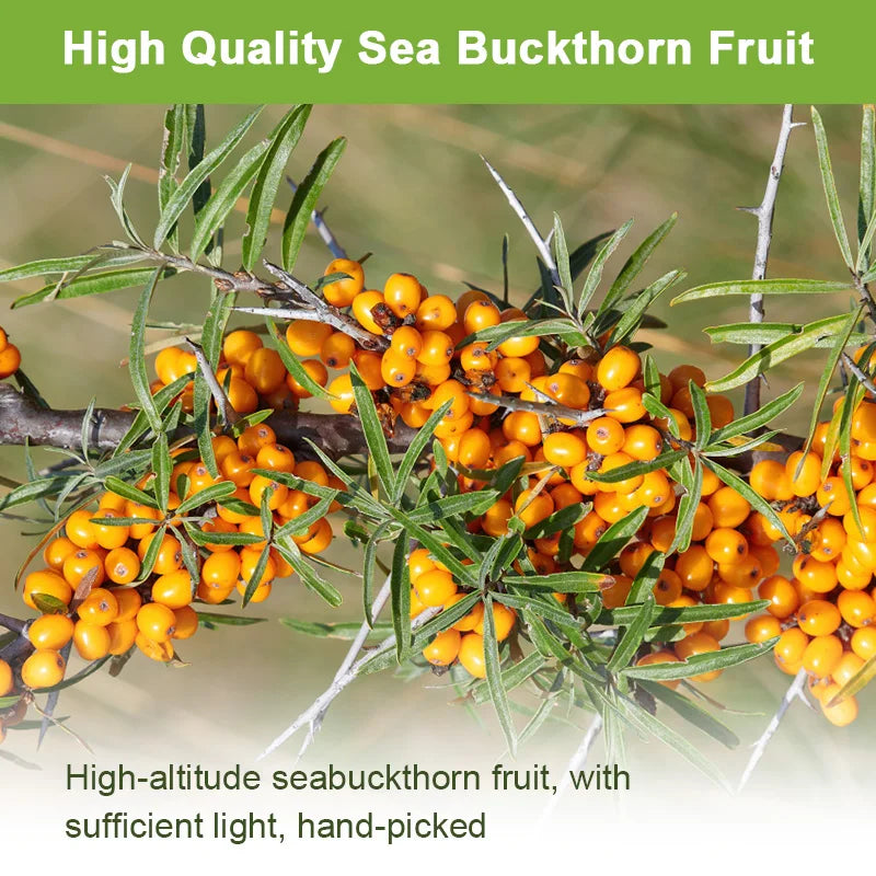 Organic Omega-7 Sea Buckthorn